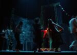 DOGS OPERA