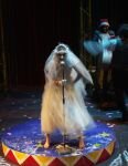 DOGS OPERA