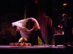 DOGS OPERA