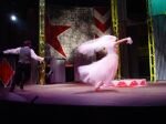 DOGS OPERA